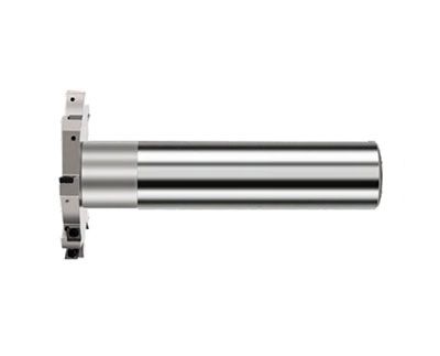 MTS-100-H08-C32-160-10T фреза Т-образная